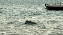 Tunus açıklarında düzensiz göçmen teknesinin batması sonucu 34 kişi kayboldu