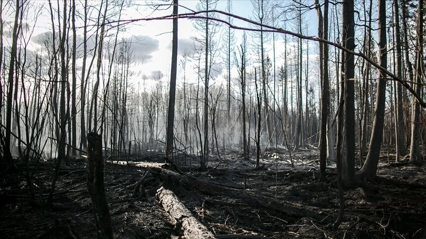 Kanada orman yangınlarıyla boğuşuyor: Binlerce kişi tahliye edildi