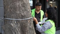 Kartal Belediyesi’nden çevre ve insan odaklı uygulama: Ağaçların röntgeni çekiliyor