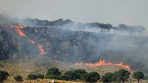 İtalya'nın Sicilya Adası'nda devam eden orman yangınları yerleşim yerlerini tehdit ediyor