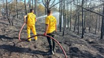 Gebze'de 2 dönüm orman yandı