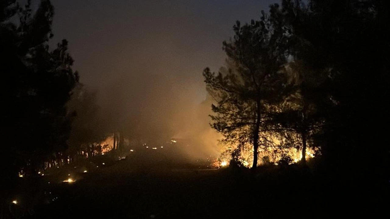 Sicilya Adası'ndaki orman yangınlarında iki kişi hayatını kaybetti