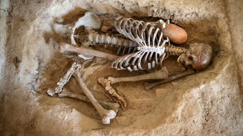 Heyecanlandıran keşif: Çatalhöyük'te bulunan ekmek 8 bin 600 yaşında!