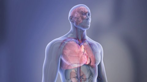Aralıklı oruç diyeti yapanlarda yüzde 91 kardiovasküler ölüm riski