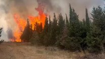 Çanakkale Valiliği orman yangını uyarısı yaptı