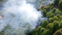 Sakarya'da korkutan yangın: Bahçe temizliği için yakılan ateş ormana sıçradı