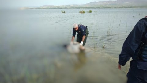 Malatya'da kayıp olarak aranan kişi baraj gölünde bulundu