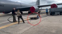 Görevliler şok oldu: ABD’de bir timsah uçak pistine girdi
