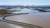 Van'da karlar eridi: Çaldıran Ovası'nda araziler su altında kaldı