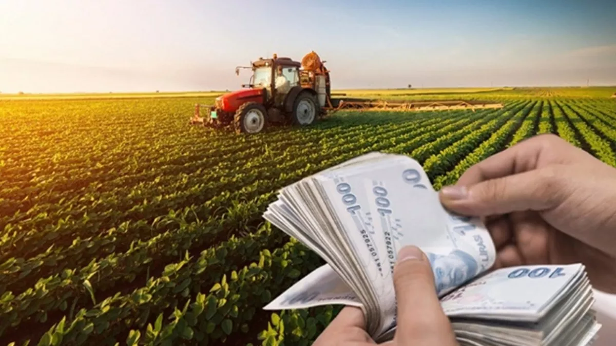 Çiftçilere yapılacak tarımsal destekleme ödemesi bugün hesaplarda!