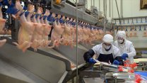 CHP'den Ticaret Bakanlığı'nın tavuk eti ihracatına getirdiği sınırlamaya tepki
